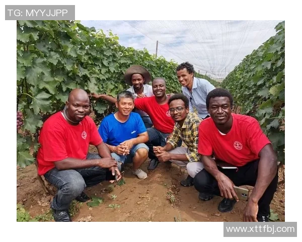 静冈县足球明星的崛起与发展探索之路